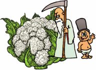 Cauliflower , All the Year round - Dwarf